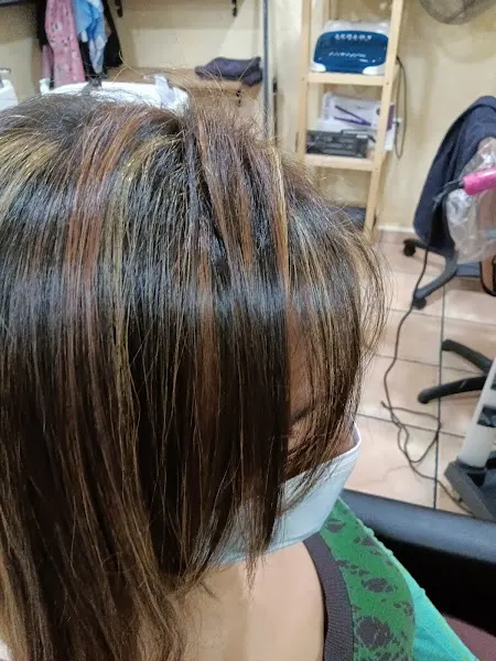Ludi Peluqueros