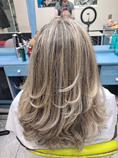 Fashion Peluqueros