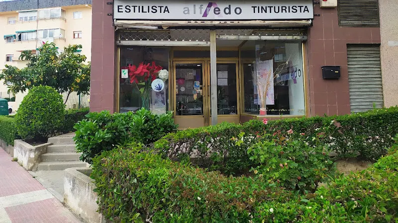 Alfredo Estilistas - Collado Villalba