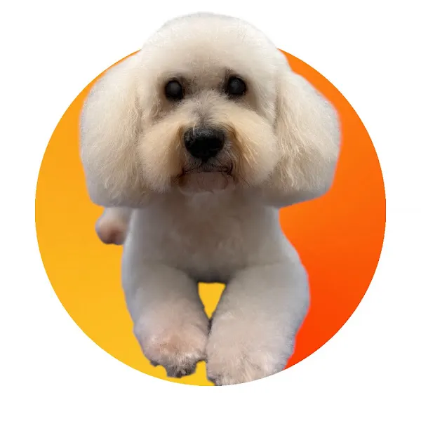 Peluquería Canina Entre Pelos Parla