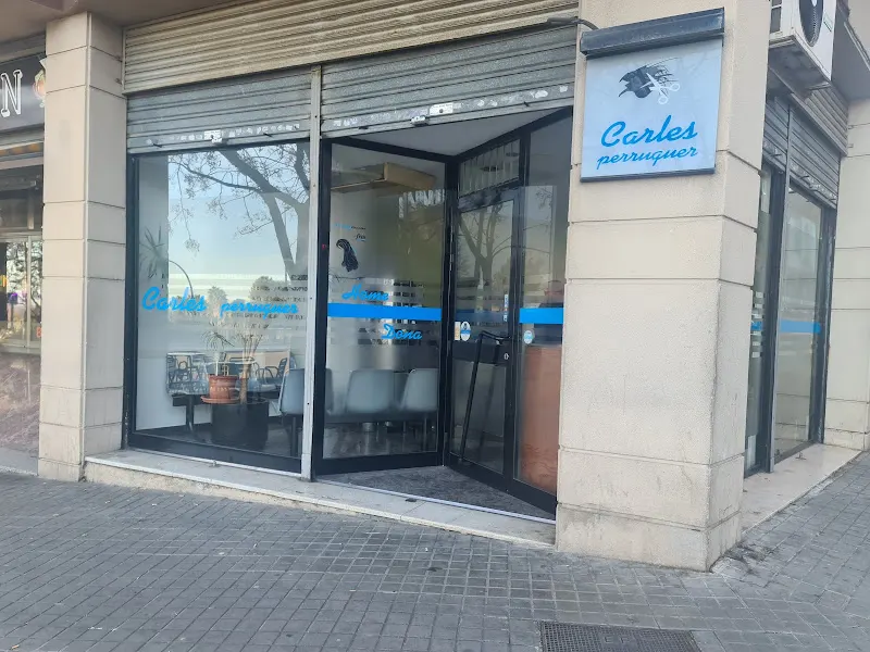 P. Carlos