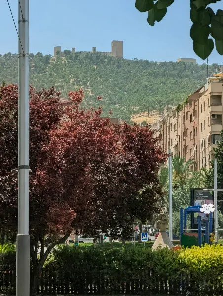 Plaza Jaén por la Paz - Jaén