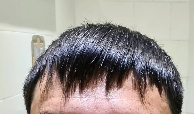 The Barber Alonso