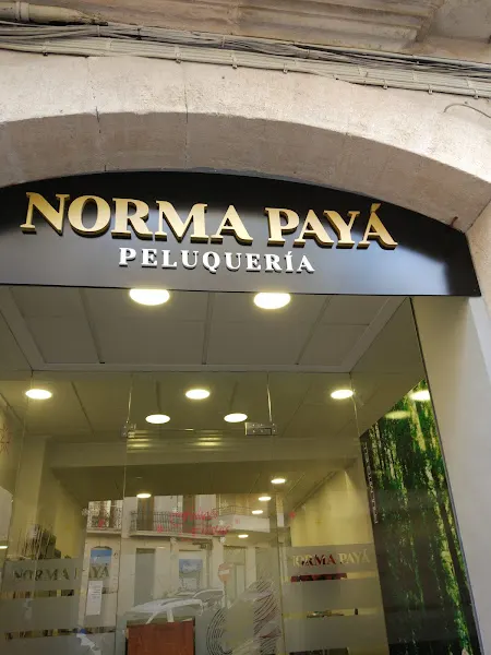 Norma Payá