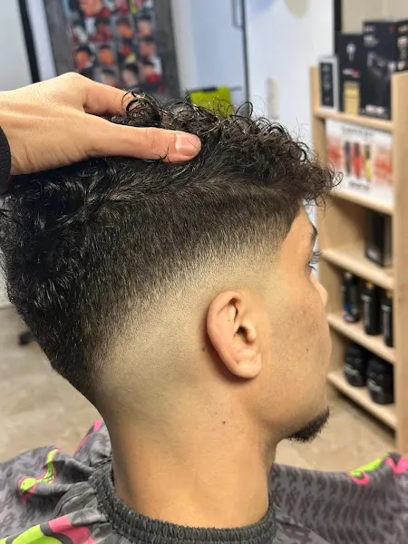 Montpellier Barber - Logroño