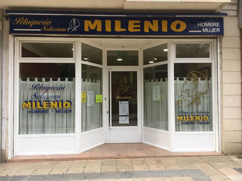 Peluquería Milenio - Palencia