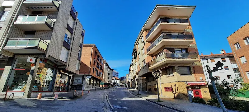 Saitua