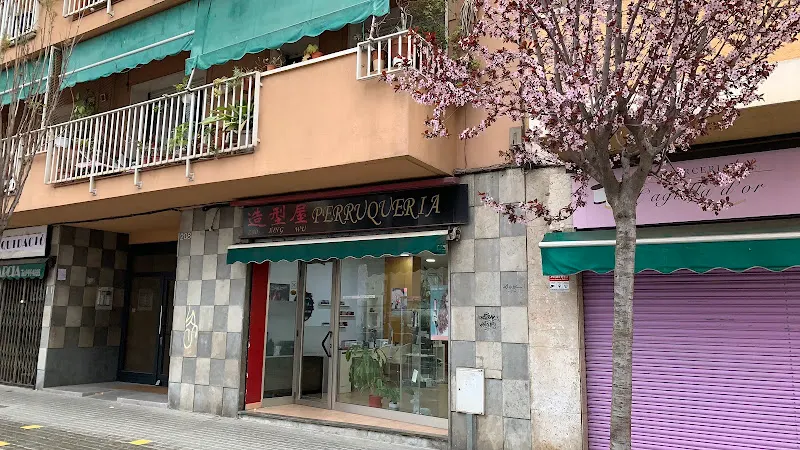 Zao Xing Wu Peluquería - Peluquería en Granollers - foto 2