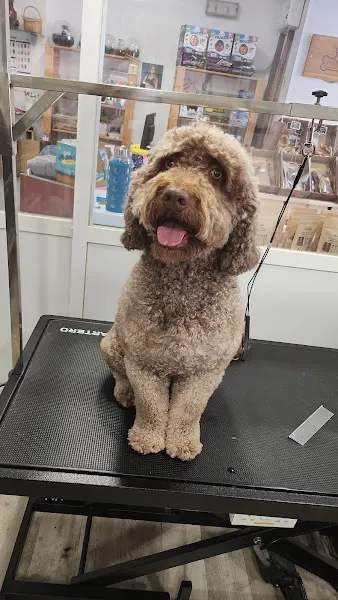 Indalcan - Peluquero de mascotas en Pinto - foto 2