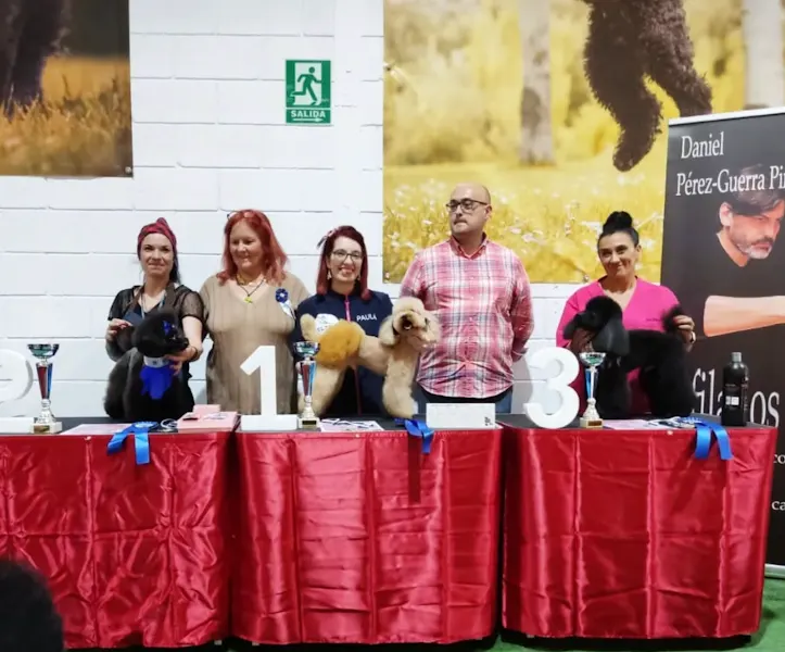 ÉLITE SALÓN CANINO - Peluqueria canina y academia en Pola de Siero - Siero