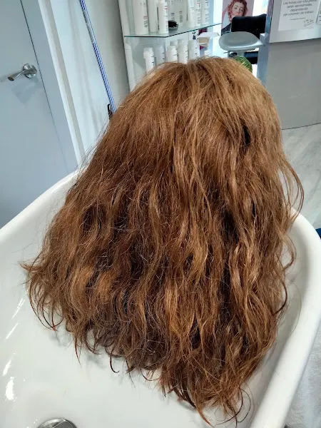 La Pelu de Gelen