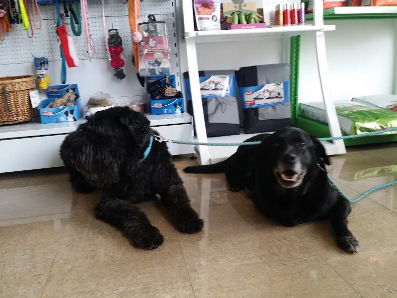 Centro Veterinario Fel&Can - Lebrija