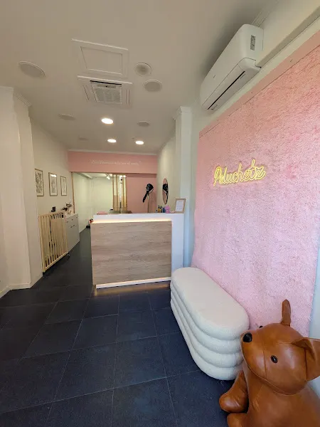Peluquería canina Peluchetz - Fraga