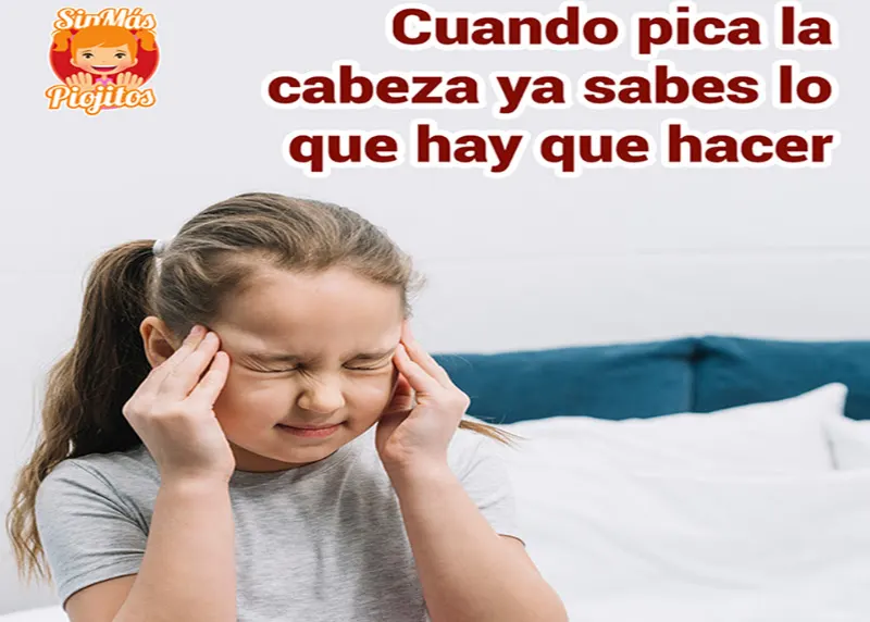 Sin Más Piojitos- BUSCAMOS ASOCIADOS