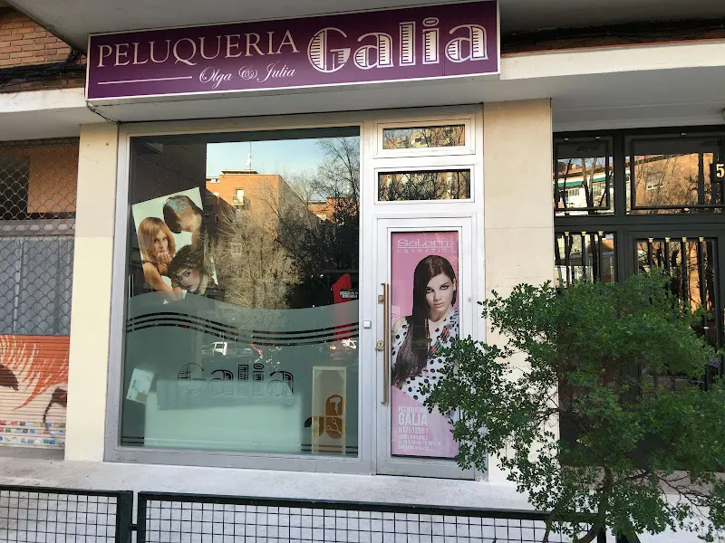Peluqueria Galia - Madrid