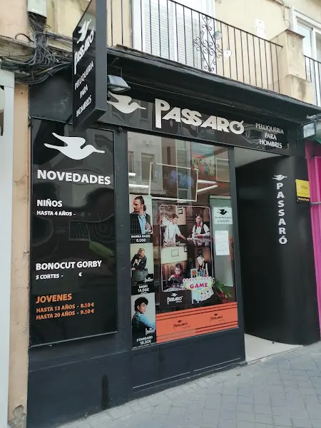 Peluquería Passaro Madrid - Peluquería en Madrid - foto 2