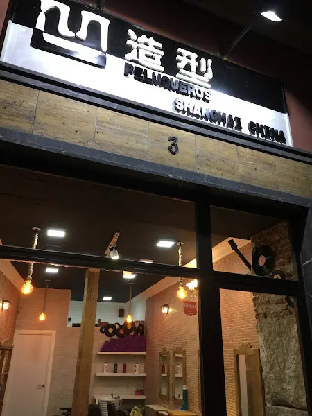 Peluqueria ao style 凹造型