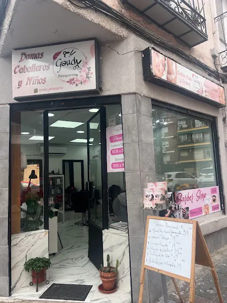 Gaudy salon peluqueria y Estetica - Madrid