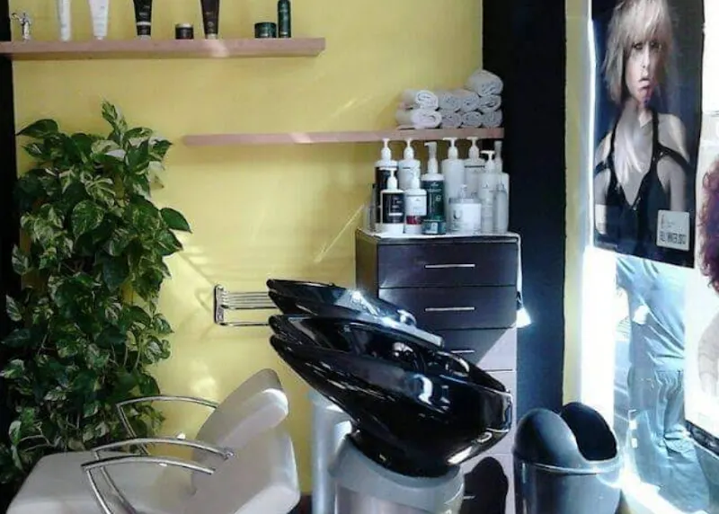 Peluqueria Tu Look