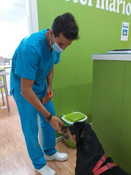 CENTRO VETERINARIO ACQUA-ZOO - Don Benito