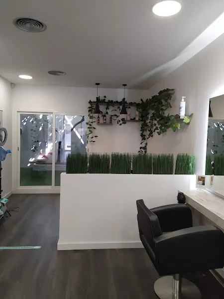 The Salon