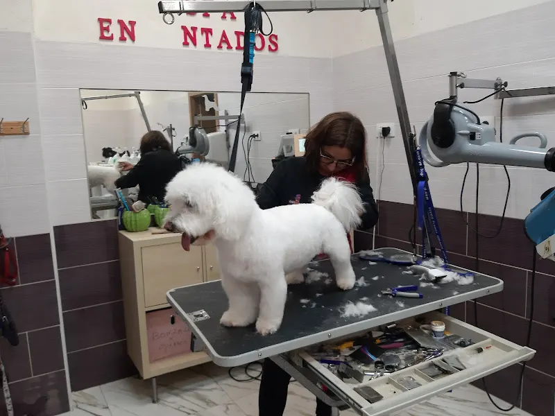 Peluquería Canina Encantados - Águilas