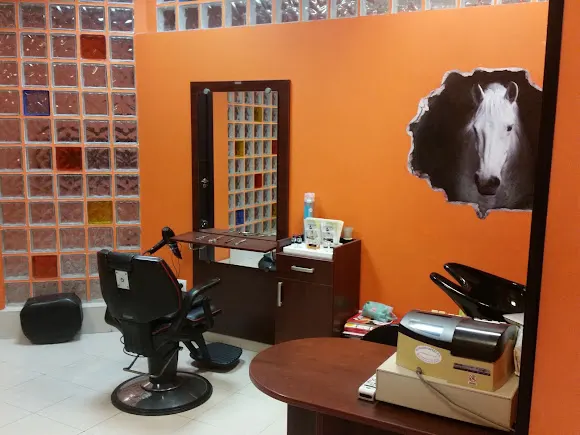 Peluqueria MIERES Roberto
