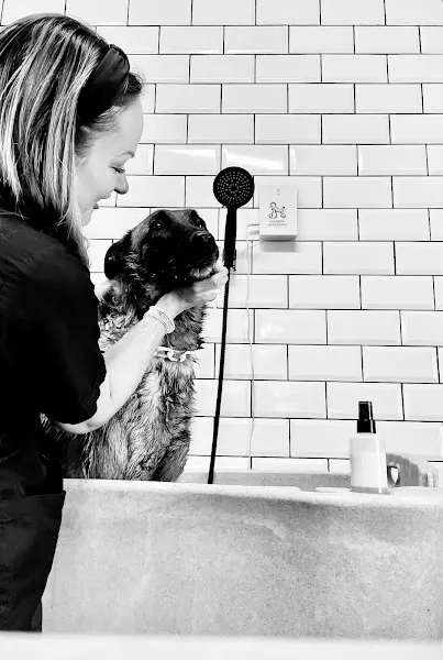 Peluqueria Canina El Gosset - Peluquero de mascotas en San Javier - foto 2