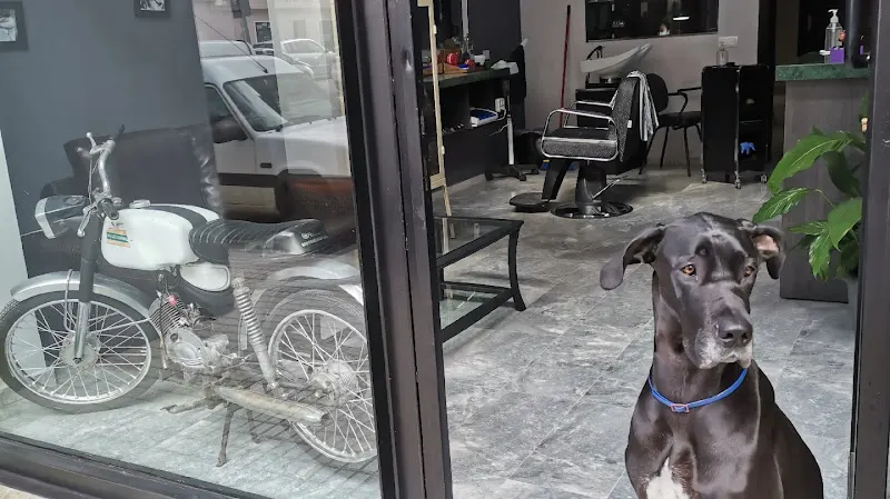 SALOON VIP - Badajoz