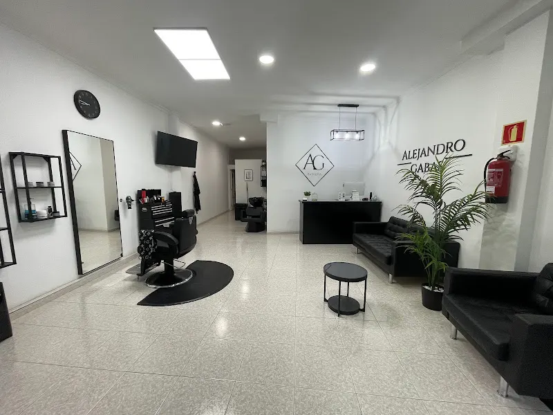 Alejandro Gabas Barbería - Ingenio
