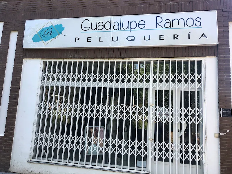 Peluquería Guadalupe Ramos - Mérida