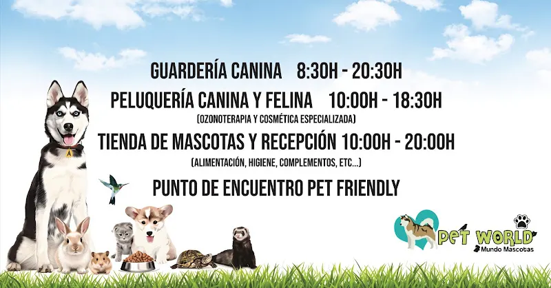 Pet World - Peluquero de mascotas en Rota - foto 2