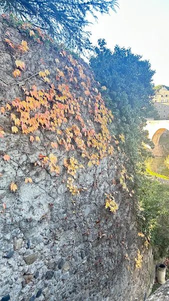 Carmen Romero Ribes - Sueca