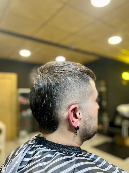 Golden Barber - Novelda