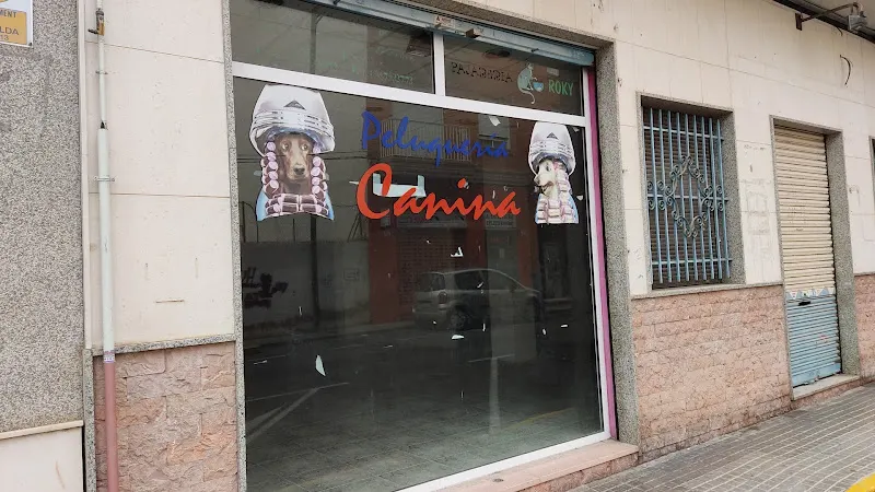 Peluquería canina Rocky - Novelda