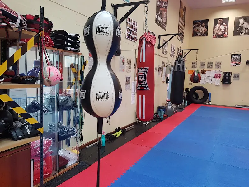 MT BOXING Sestao - Sestao