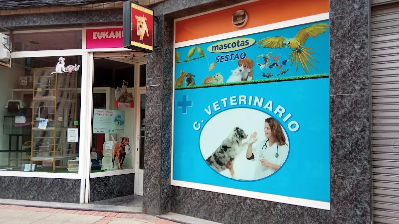 CENTRO VETERINARIO Mascotas de Sestao - Sestao