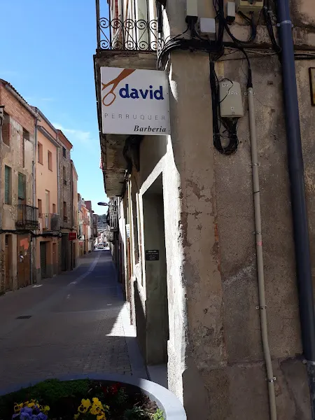 David Perruquer - Navarcles