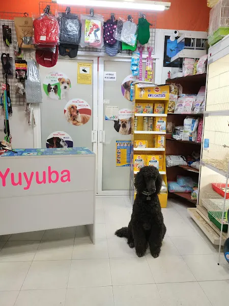 Peluquería Yuyuba - Peluquero de mascotas en Cangas - foto 2