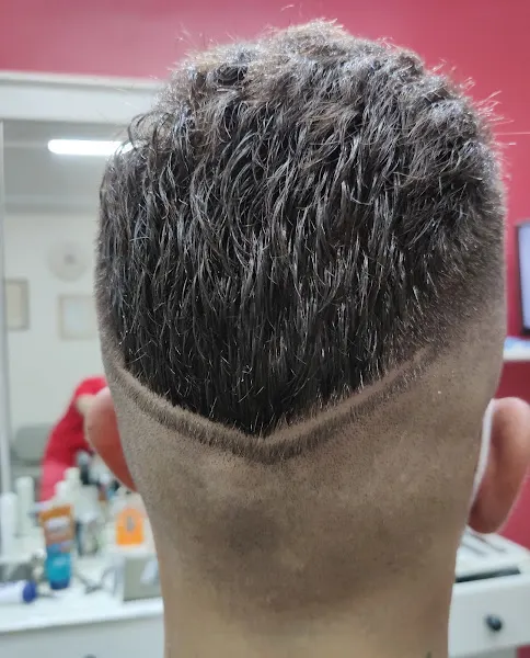 Catalán Peluquero - Almansa