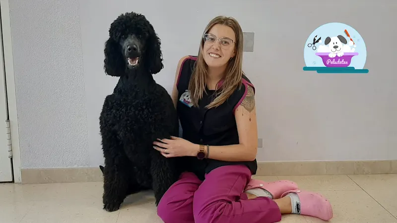 Peludetes Peluquería & Spa Canino - Peluquero de mascotas en Almansa - foto 2