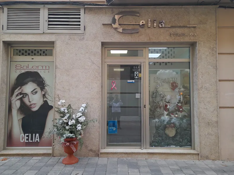 Peluquería Celia Duque De La Victoria - Almansa