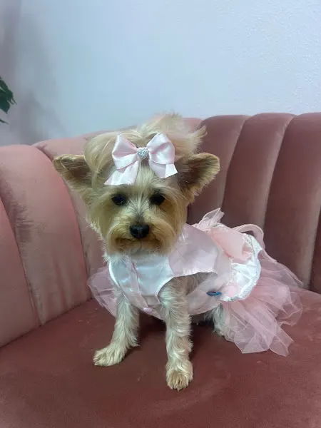 Peluquería Canina Luu&Aisha - Pilar de la Horadada