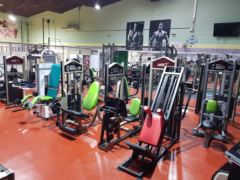 Fitness Club - Gimnasio en Pilar de la Horadada - foto 2