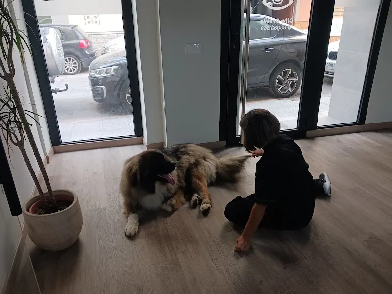Jover Peluquería Canina - Peluquero de mascotas en Adra - foto 2
