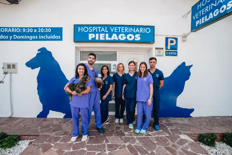 Centro Veterinario Piélagos - Veterinario en Pielagos - foto 2