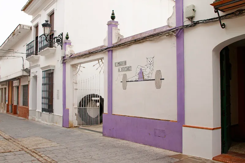 Gimnasio Guitart - Almonte