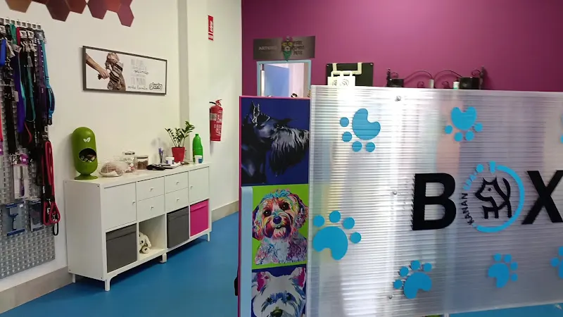 Kanan SPA - Peluquero de mascotas en Ibi - foto 2