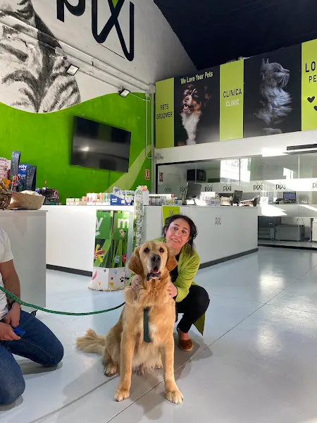Piximascotas - Peluquero de mascotas en San Pedro del Pinatar - foto 2