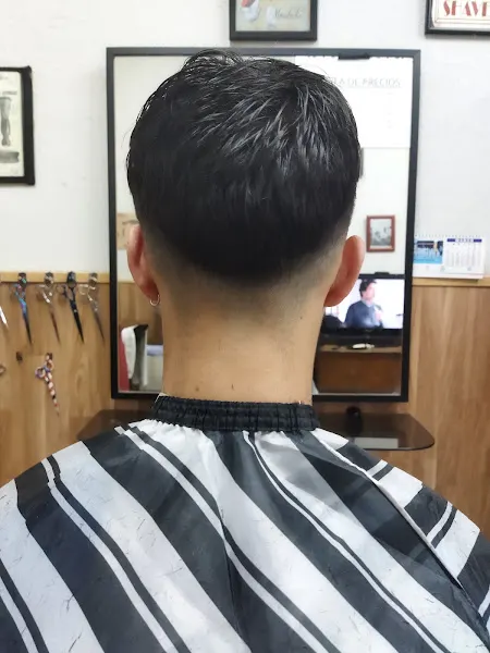 Peluquería Germán - Peluquería en Cáceres - foto 2